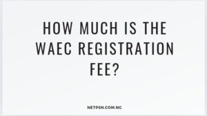 Read more about the article How much is the WAEC registration fee?