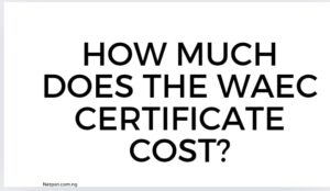 Read more about the article How much does the WAEC certificate cost?