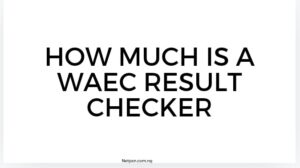 Read more about the article How much is a WAEC result checker?