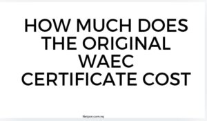 Read more about the article How much does the original WAEC certificate cost?