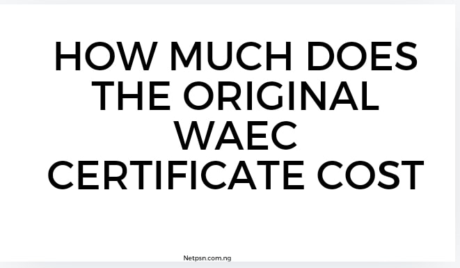 Read more about the article How much does the original WAEC certificate cost?
