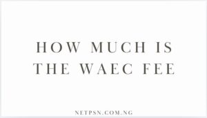 Read more about the article How much is the WAEC fee?