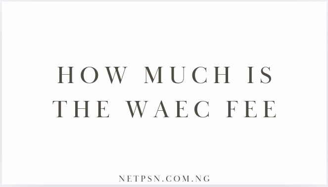 Read more about the article How much is the WAEC fee?