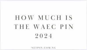 Read more about the article How much is the WAEC PIN 2025?